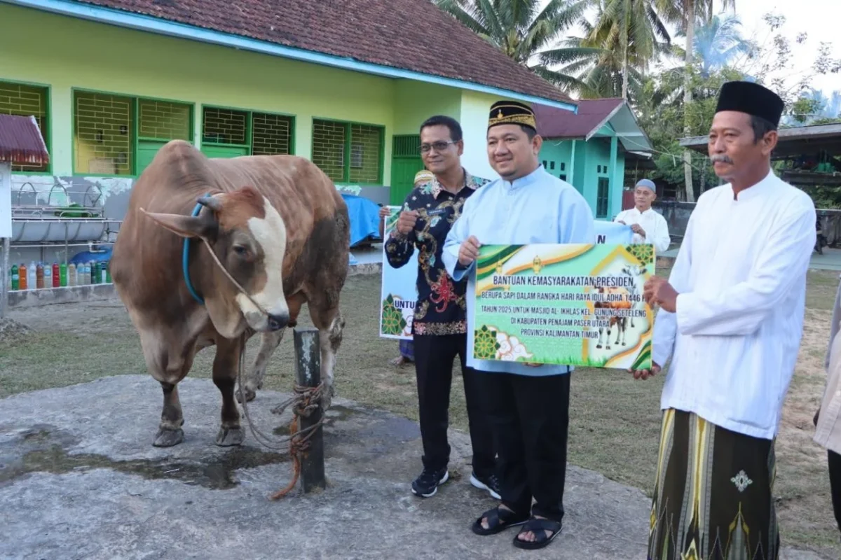 Mudyat Noor Serahkan Sapi Kurban Presiden Berbobot 910&hellip;