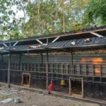 Pemkab PPU Larang Kandang Ayam Dibangun Dekat Permukiman