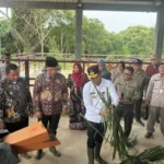 PPU Dikembangkan Jadi Pusat Peternakan Sapi Berkelanjutan di Kaltim