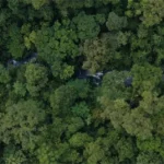 Kemenhut Perkuat Pencegahan dan Rehabilitasi Lahan Pascakebakaran Hutan