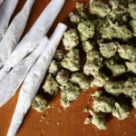 Soal Ladang Ganja di Bromo, PDIP: Alarm bagi Pengawasan Kawasan Konservasi