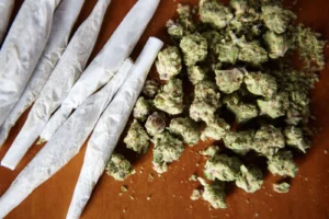 Soal Ladang Ganja di Bromo, PDIP: Alarm bagi Pengawasan Kawasan Konservasi