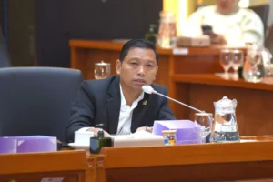 Buntut ‘Gaji Rp 15 Juta Lebih Sehat’, DPR: Pernyataan Menkes Tidak Penting