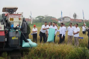 Jaksa Agung Resmikan Program Jaksa Mandiri Pangan, Manfaatkan Lahan Sitaan Jadi Produktif