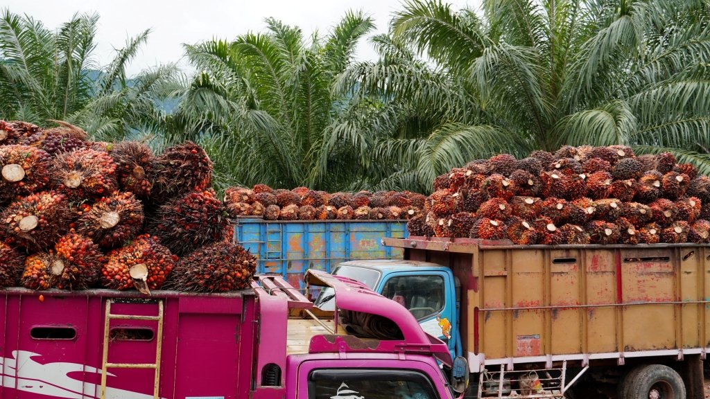 Indonesia siapkan opsi lanjutan jika Uni Eropa belum patuh pada putusan WTO terkait sengketa sawit DS593.