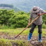 Anggaran Pertanian Naik, PKB : Harus Fokus ke Petani Milenial