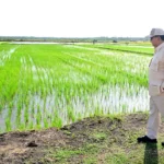 Presiden Prabowo: Swasembada Pangan Adalah Kunci Keamanan dan Kemerdekaan