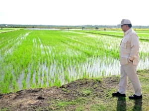 Presiden Prabowo: Swasembada Pangan Adalah Kunci Keamanan dan Kemerdekaan
