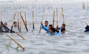 Pemerintah Tuntaskan Pembatalan Sertifikat di Kasus Pagar Laut Tangerang