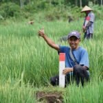 Mudik ke Kampung Halaman? Jaga Batas Tanah sebagai Langkah Awal Cegah Konflik Antartetangga