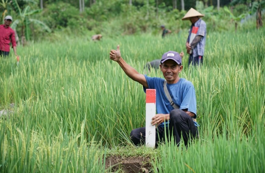Mudik ke Kampung Halaman? Jaga Batas Tanah sebagai&hellip;