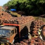 Belajar dari Sawit, Kunci Gapai Target Ekonomi 8% dan Swasembada Tanpa Kriminalisasi Kritik