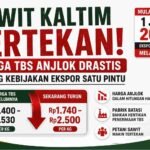harga sawit turun