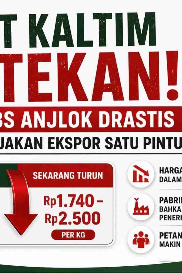 harga sawit turun