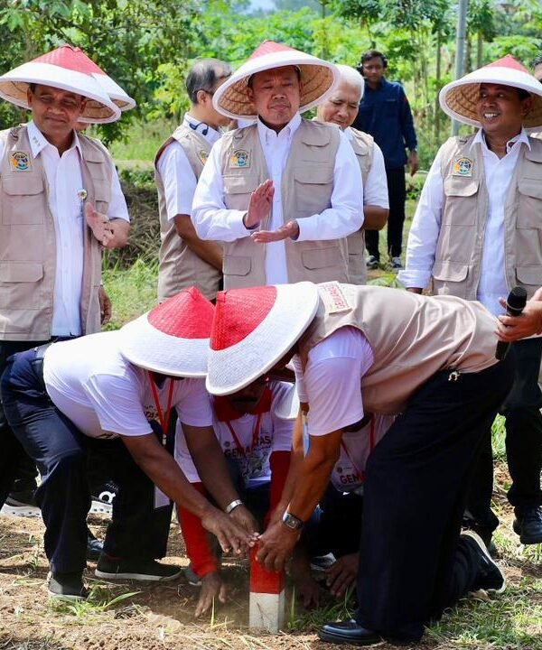 Pasang Patok, Cara Sederhana Cegah Sengketa Tanah dengan&hellip;