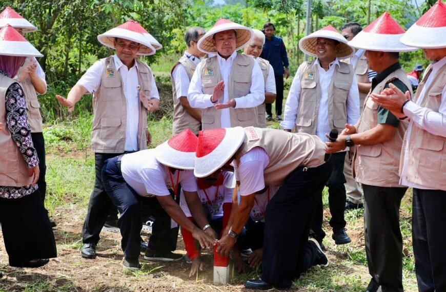 Pasang Patok, Cara Sederhana Cegah Sengketa Tanah dengan&hellip;