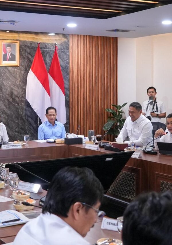 Laporkan Progres Dukungan KSPEAN Papua Selatan, Wamen Ossy&hellip;