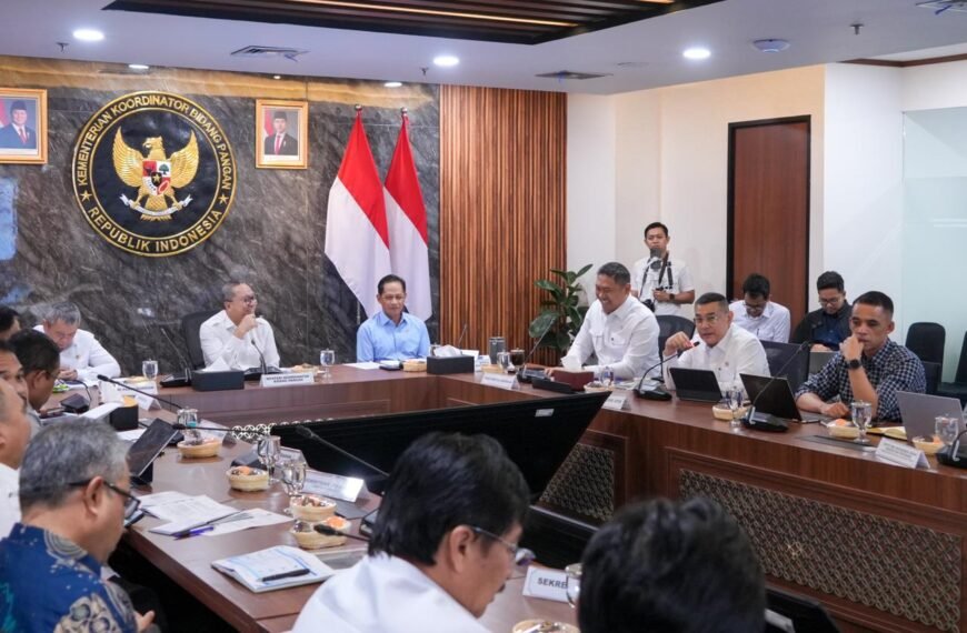 Laporkan Progres Dukungan KSPEAN Papua Selatan, Wamen Ossy…